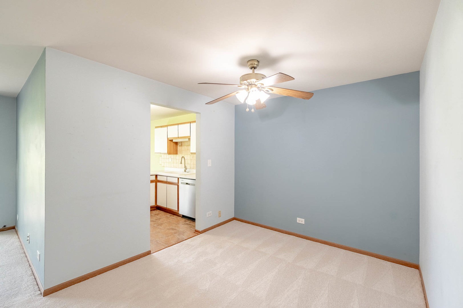 250 Ashbury Lane 3