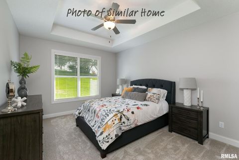 Tiny photo for 602 15TH Street, Le Claire, IA 52753 (MLS # QC4269858)