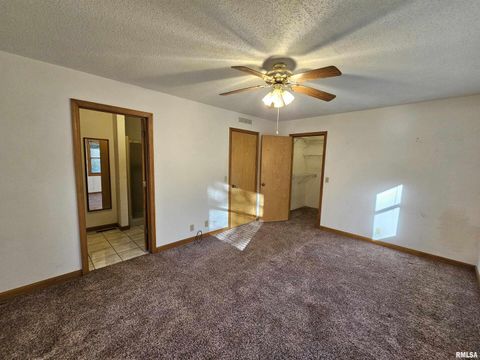 Tiny photo for 601 N VALLEY Street, Wayne City, IL 62895 (MLS # EB460227)