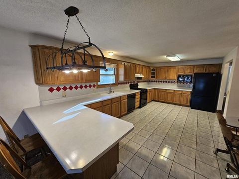 Tiny photo for 601 N VALLEY Street, Wayne City, IL 62895 (MLS # EB460227)