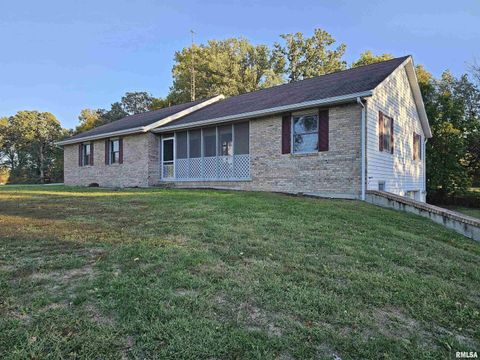 Tiny photo for 601 N VALLEY Street, Wayne City, IL 62895 (MLS # EB460227)