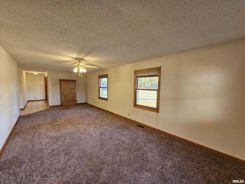 Tiny photo for 601 N VALLEY Street, Wayne City, IL 62895 (MLS # EB460227)