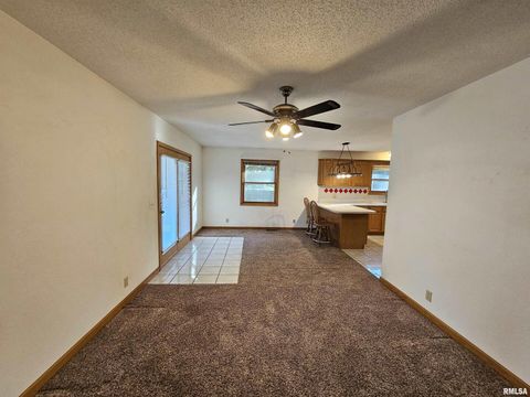 Tiny photo for 601 N VALLEY Street, Wayne City, IL 62895 (MLS # EB460227)