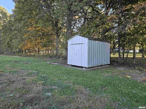 Tiny photo for 601 N VALLEY Street, Wayne City, IL 62895 (MLS # EB460227)