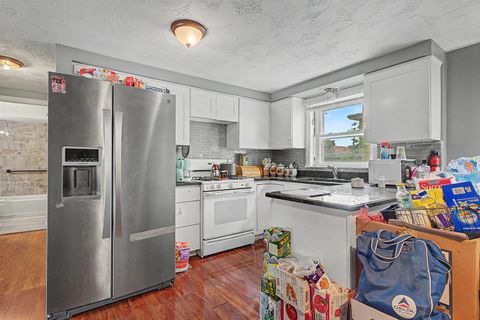 Tiny photo for Chicago, IL 60619 (MLS # 12656884)