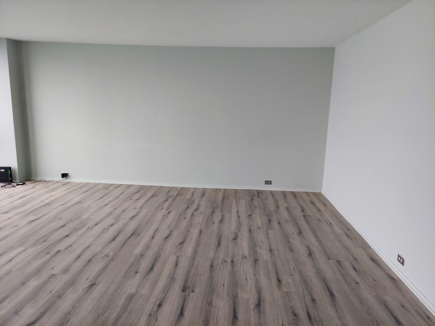 910 N lake shore Drive 1417