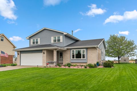 Photo of 20409 S Hunter Drive, Frankfort, IL 60423 (MLS # 12634814)