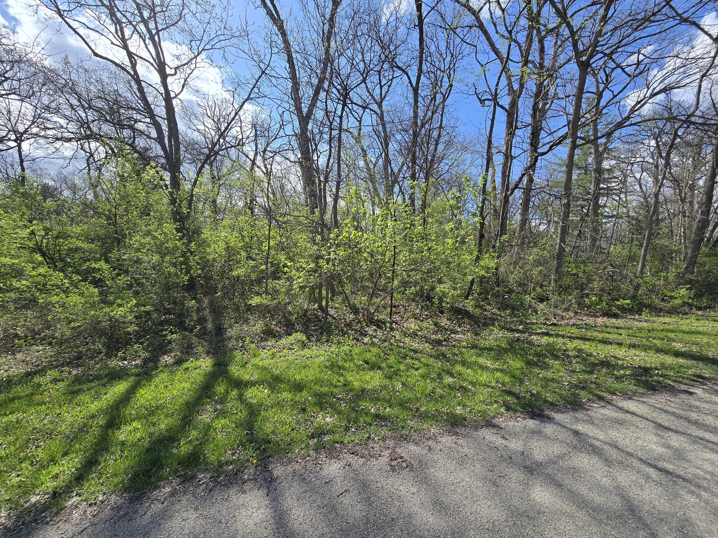 211 Maple Lane