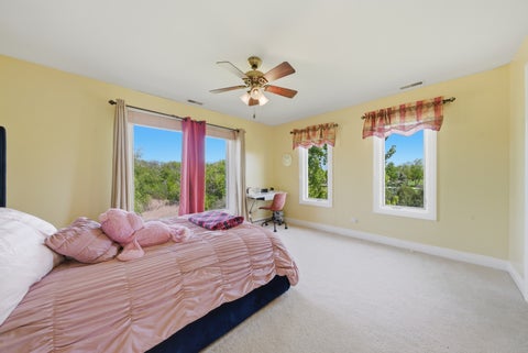 Tiny photo for 9 Falcon Lakes Drive, South Barrington, IL 60010 (MLS # 12647612)