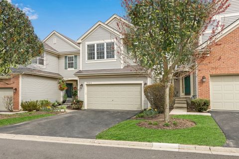 761 Creekside Circle 9-3 Gurnee IL 60031