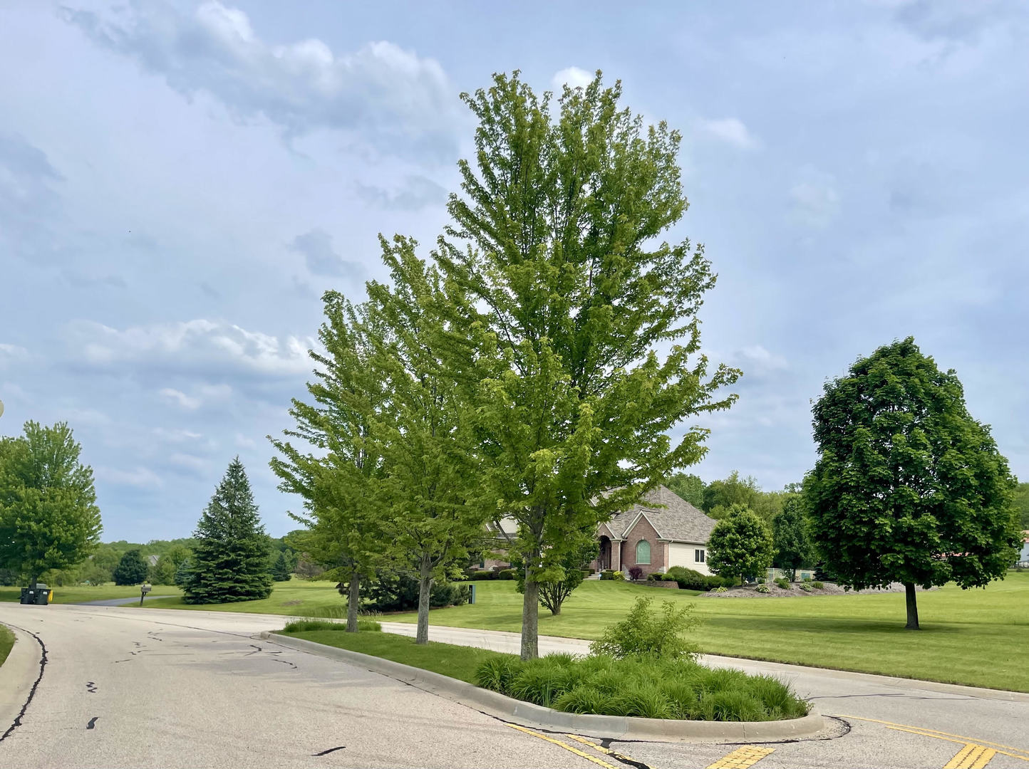 1992 Red Oak Lane