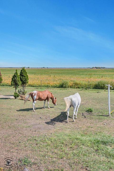 Tiny photo for 1258 E 2900 North Road, Clifton, IL 60927 (MLS # 12467759)