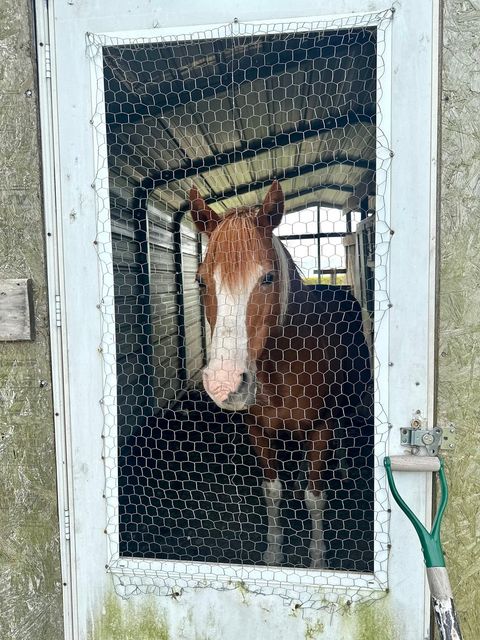 Tiny photo for 1258 E 2900 North Road, Clifton, IL 60927 (MLS # 12467759)