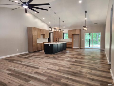 Tiny photo for 14063 N LINK Lane, Mt Vernon, IL 62864 (MLS # EB459293)