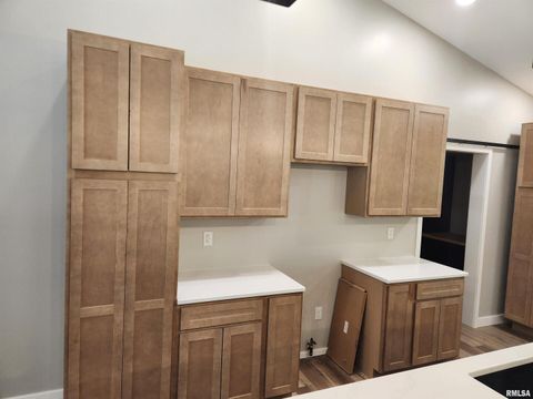 Tiny photo for 14063 N LINK Lane, Mt Vernon, IL 62864 (MLS # EB459293)