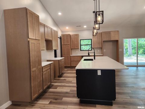 Tiny photo for 14063 N LINK Lane, Mt Vernon, IL 62864 (MLS # EB459293)