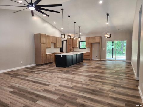 Tiny photo for 14063 N LINK Lane, Mt Vernon, IL 62864 (MLS # EB459293)