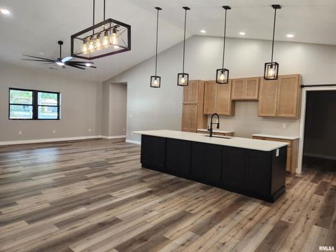 Tiny photo for 14063 N LINK Lane, Mt Vernon, IL 62864 (MLS # EB459293)