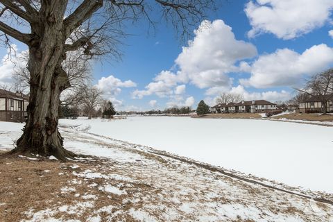 Tiny photo for 15713 orlan brook Drive #100, Orland Park, IL 60462 (MLS # 12604214)