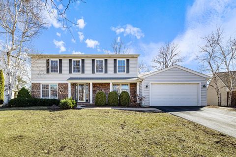 1125 W Skylark Drive Palatine IL 60067