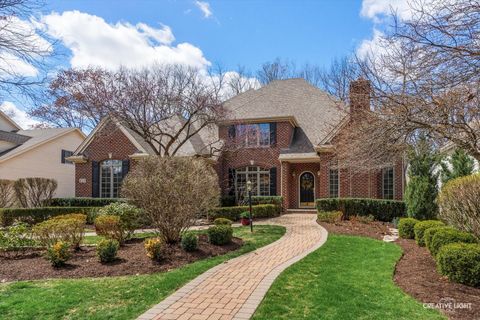 219 Fiala Woods Court Naperville IL 60565