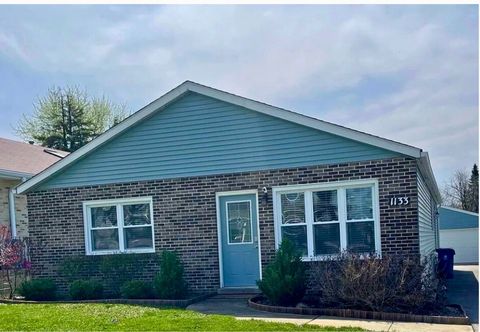 Photo of 1133 ADELIA Street, Downers Grove, IL 60516 (MLS # 12571802)