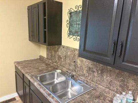 Tiny photo for 2142 HERBERT Street, Murphysboro, IL 62966 (MLS # EB459633)