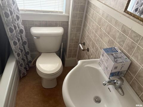 Tiny photo for 2142 HERBERT Street, Murphysboro, IL 62966 (MLS # EB459633)