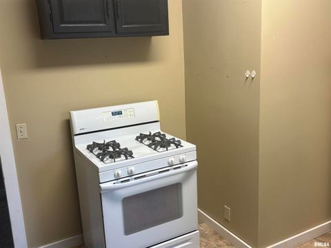 Tiny photo for 2142 HERBERT Street, Murphysboro, IL 62966 (MLS # EB459633)