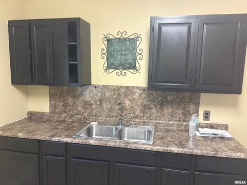 Tiny photo for 2142 HERBERT Street, Murphysboro, IL 62966 (MLS # EB459633)