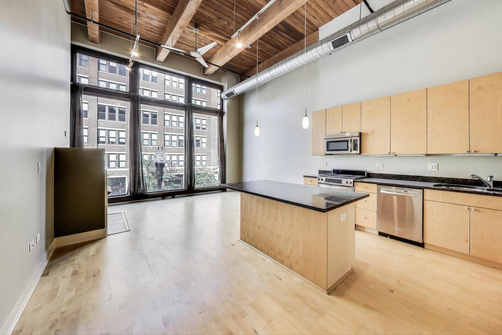 2303 S Michigan Avenue 209