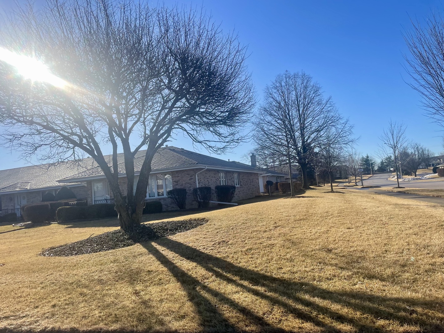 10557 Illinois Court 1