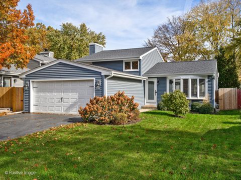 0S015 Cottonwood Drive Wheaton IL 60187