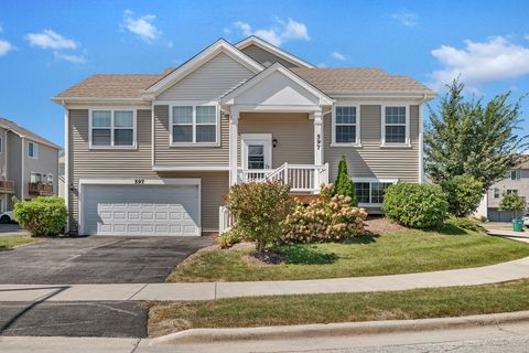 Photo of 597 Spring Leaf Drive, Joliet, IL 60431 (MLS # 12466034)