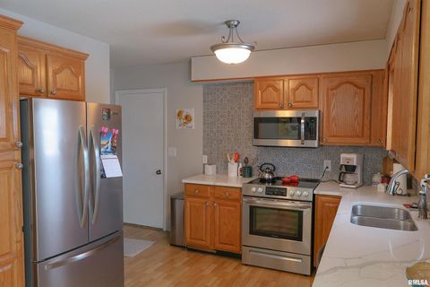 Tiny photo for 1603 Gary Grove Grv, Quincy, IL 62305 (MLS # QC4269966)