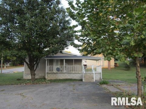 Tiny photo for 731 Bohn Street, Rosiclare, IL 62982 (MLS # EB459989)