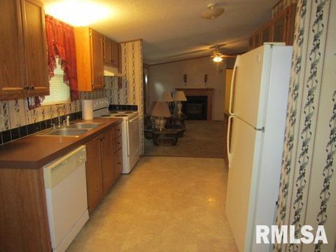 Tiny photo for 731 Bohn Street, Rosiclare, IL 62982 (MLS # EB459989)