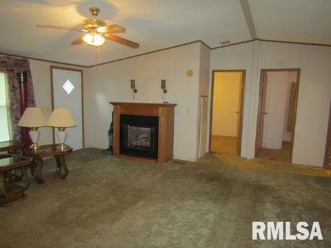 Tiny photo for 731 Bohn Street, Rosiclare, IL 62982 (MLS # EB459989)