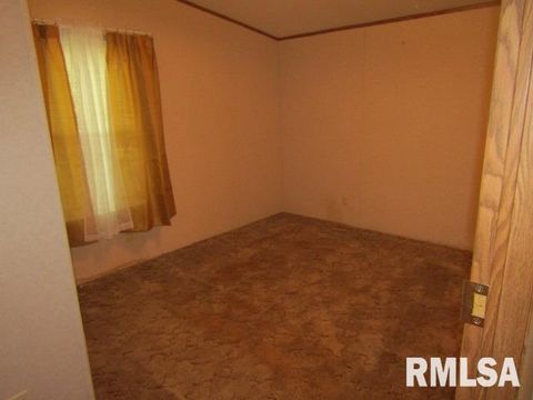 Tiny photo for 731 Bohn Street, Rosiclare, IL 62982 (MLS # EB459989)