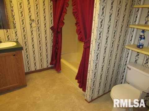 Tiny photo for 731 Bohn Street, Rosiclare, IL 62982 (MLS # EB459989)