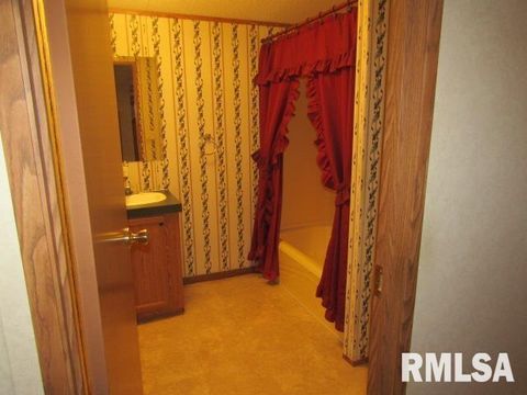 Tiny photo for 731 Bohn Street, Rosiclare, IL 62982 (MLS # EB459989)