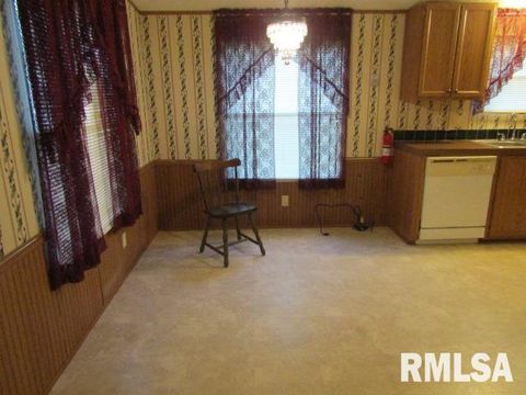 Tiny photo for 731 Bohn Street, Rosiclare, IL 62982 (MLS # EB459989)