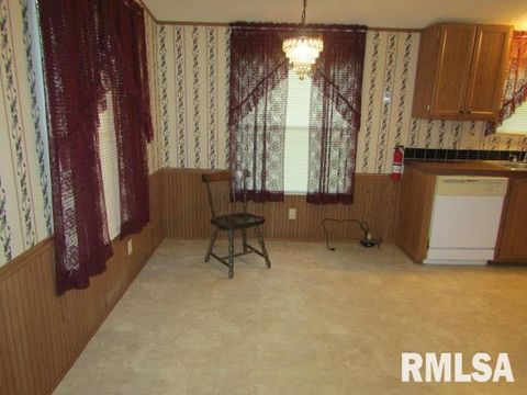 Tiny photo for 731 Bohn Street, Rosiclare, IL 62982 (MLS # EB459989)