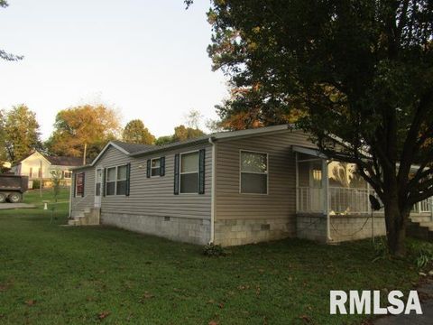 Tiny photo for 731 Bohn Street, Rosiclare, IL 62982 (MLS # EB459989)