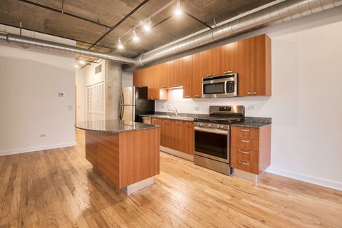 Tiny photo for 111 S Morgan Street #418, Chicago, IL 60607 (MLS # 12678713)