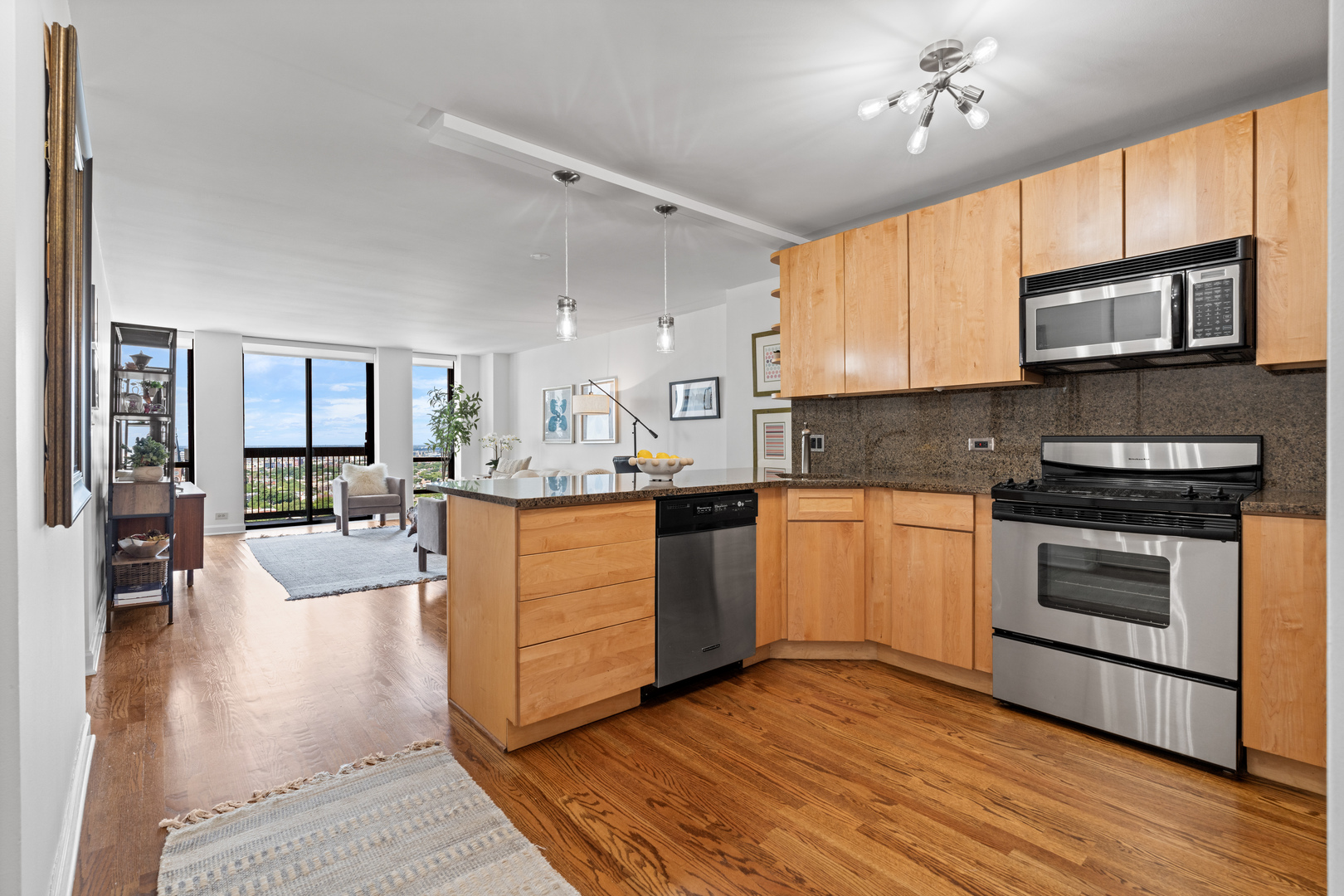 1660 N La Salle Drive 2508