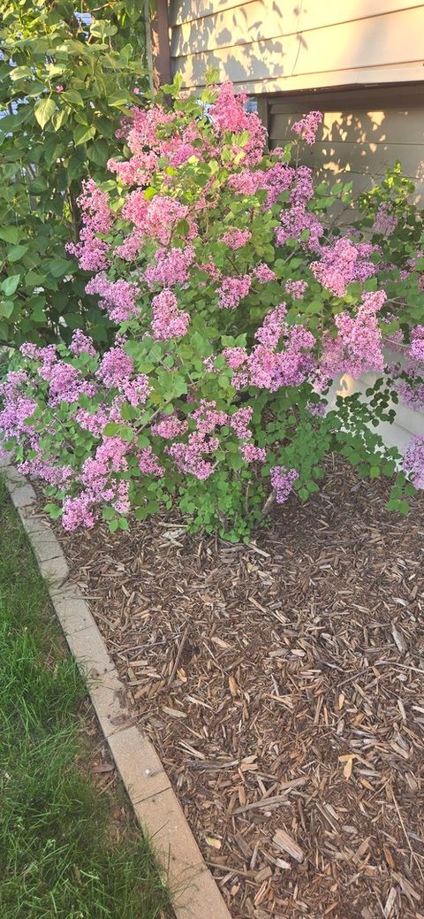 Tiny photo for 1259 Natchez Trace Circle, Naperville, IL 60540 (MLS # 12507072)