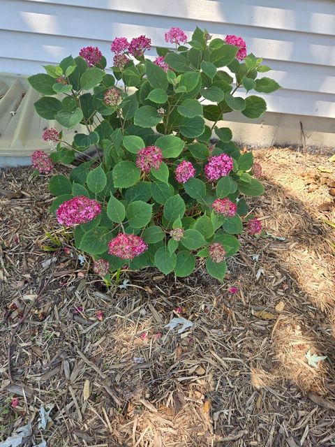 Tiny photo for 1259 Natchez Trace Circle, Naperville, IL 60540 (MLS # 12507072)