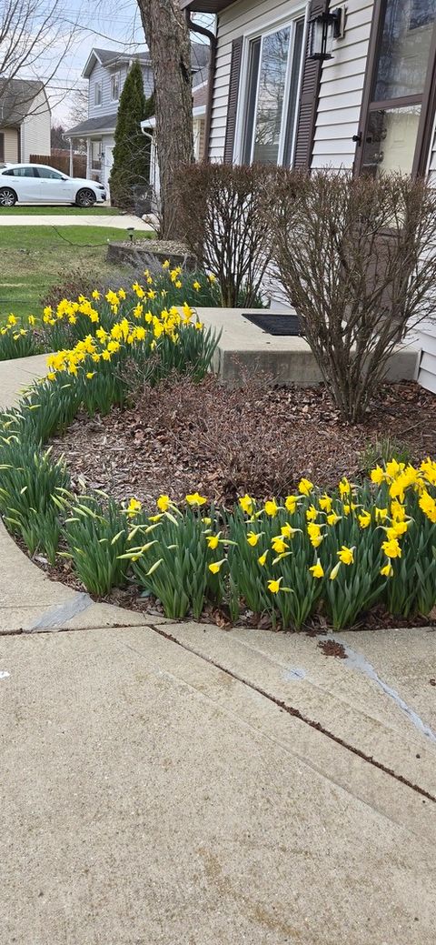 Tiny photo for 1259 Natchez Trace Circle, Naperville, IL 60540 (MLS # 12507072)