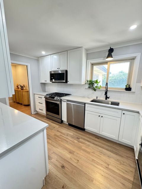 Tiny photo for 7343 Lake Street, Morton Grove, IL 60053 (MLS # 12474944)